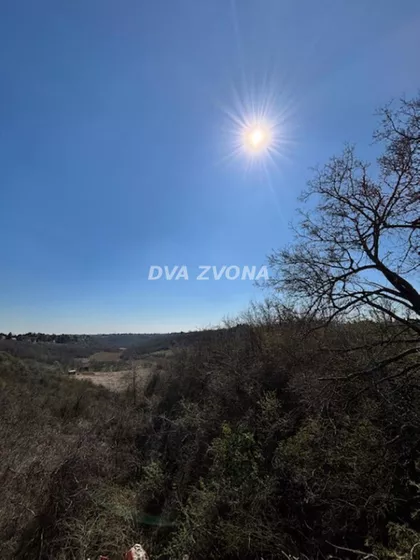 Čortanovci | 4zida.rs
