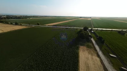 Međunarodni Put | 4zida.rs