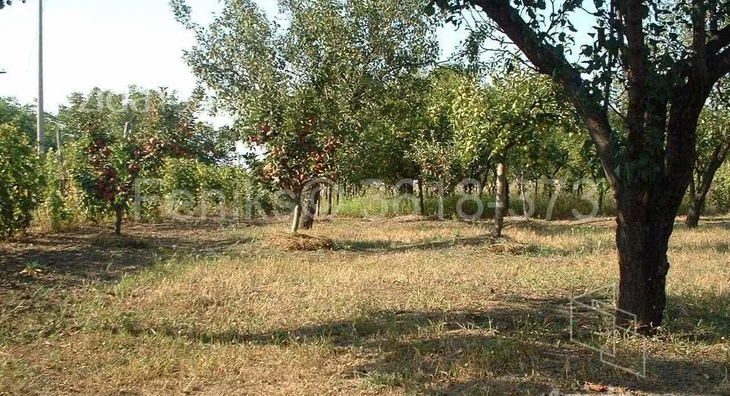 Plac | 4zida