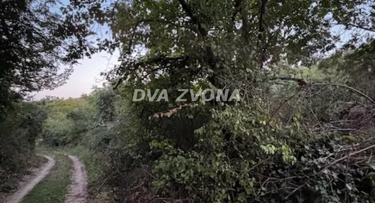 Poljoprivredno zemljište | 4zida