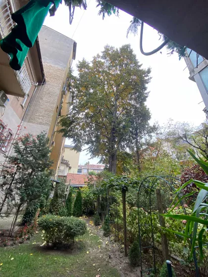 Novi Sad - Centar | 4zida.rs