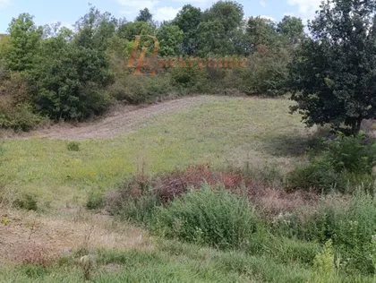 Ravanička | 4zida.rs