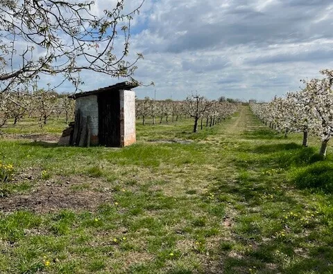Poljoprivredno zemljište | 4zida