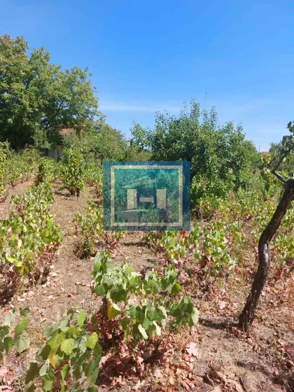 Karađorđevo Brdo | 4zida.rs