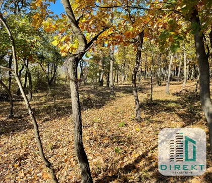 Koraćica | 4zida.rs