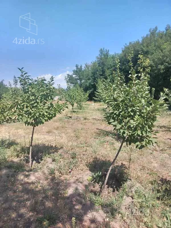 Plac | 4zida