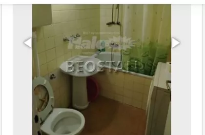 Dragana Rakica | 4zida.rs