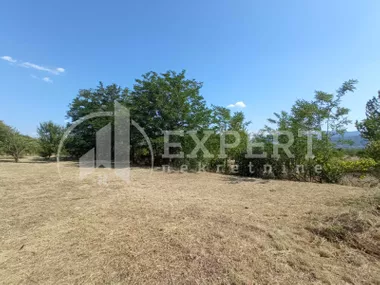 Gornja vrežina