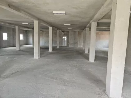 Bežanijska kosa 1 | 4zida.rs