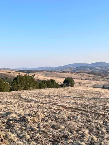 Tometino Polje | 4zida.rs