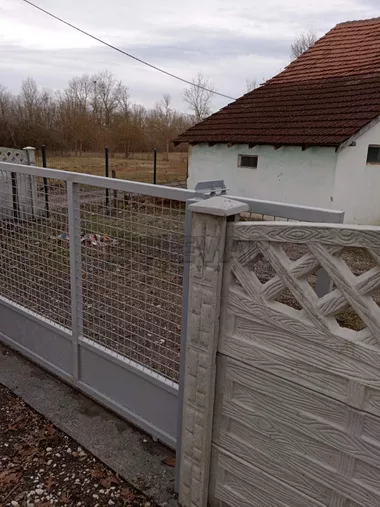 Obrva