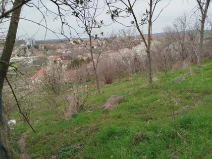 Đoke Šundukovića 6 | 4zida.rs