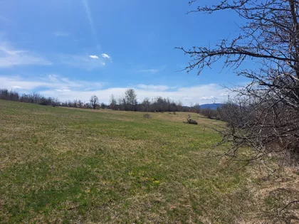 Burađska | 4zida.rs