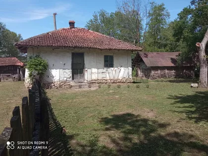 Grivac | 4zida.rs