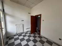 Lokal | 4zida