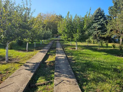 Stari Slankamen | 4zida.rs