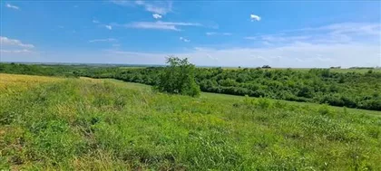 Igumanije Ekatarine | 4zida.rs