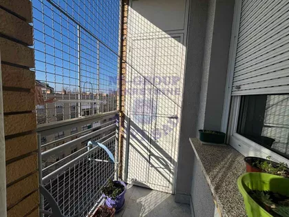 Stara Detelinara | 4zida.rs