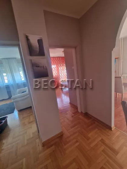 Ljutice Bogdana | 4zida.rs