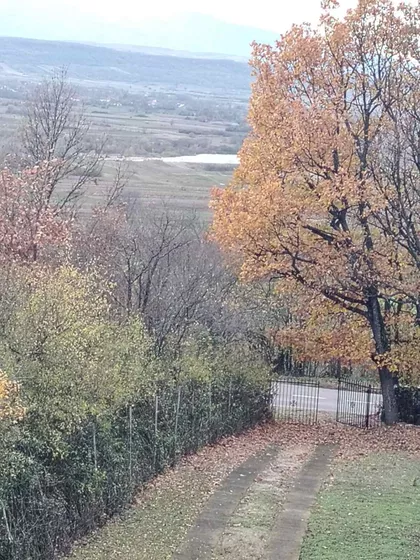 Balkanska | 4zida.rs