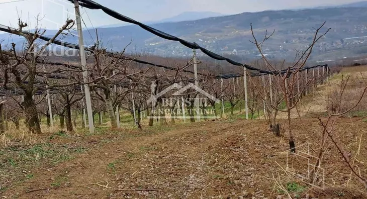 Poljoprivredno zemljište | 4zida
