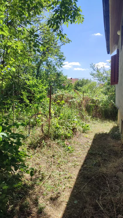 Pcinjska | 4zida.rs
