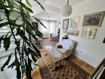 Novosadski Put | 4zida.rs