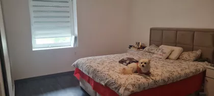 Starčevo | 4zida.rs