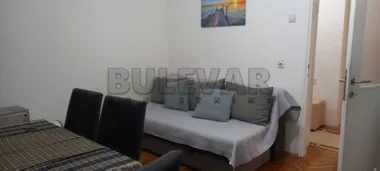 Nestora Žučnog
