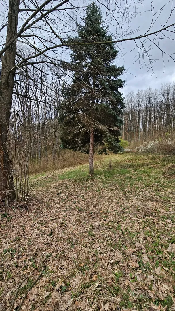 Poljoprivredno zemljište | 4zida