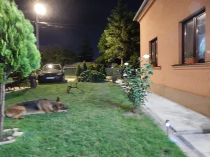 Dimitrija Tucovića | 4zida.rs