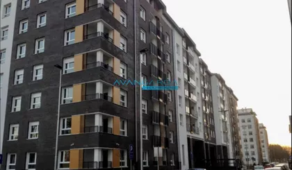 Šumadijska | 4zida.rs