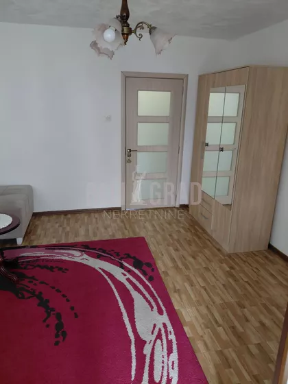 Arčibalda Rajsa | 4zida.rs