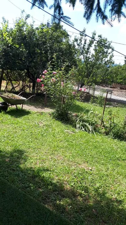 Pinosava | 4zida.rs