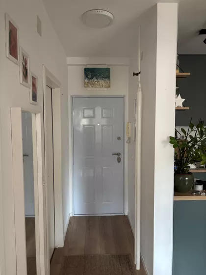 Petra Martinovića 4 | 4zida.rs