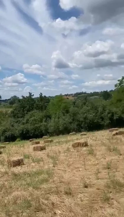 Živka Stevanovića-Žikice | 4zida.rs