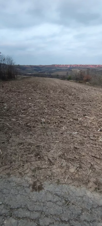 Lipovačka | 4zida.rs