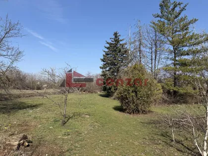 Srpski Šor | 4zida.rs