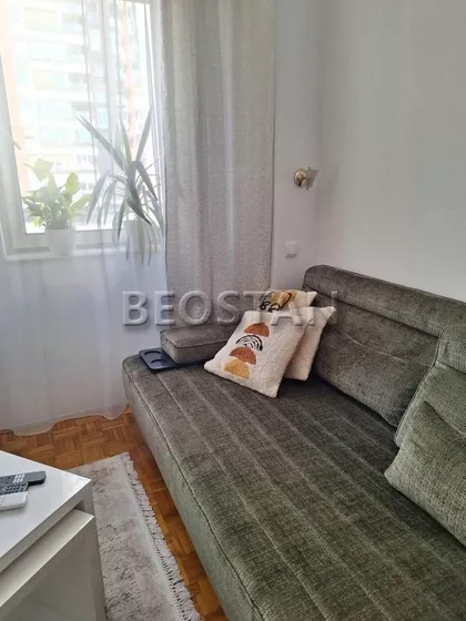 Knez Danilova | 4zida.rs