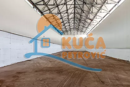 Šumadijska | 4zida.rs