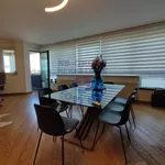 Novi Sad, Gradske lokacije, Grbavica | 4zida.rs | 4zida.rs