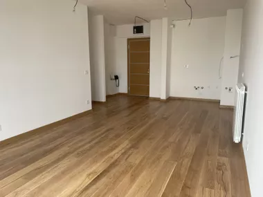 Vojvode Stepe