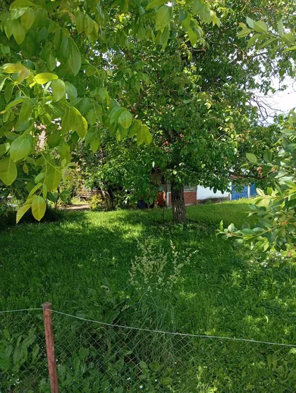 Put Za Lazoviće | 4zida.rs