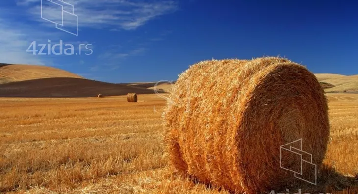 Poslovna zgrada | 4zida