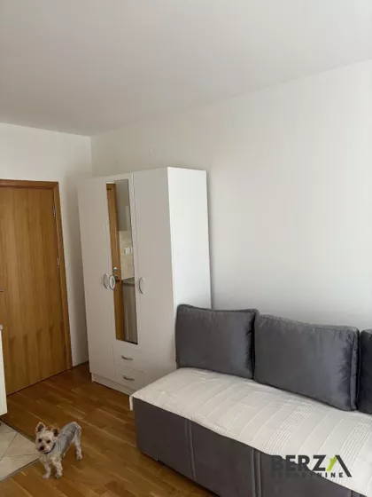 Novi Sad - Centar | 4zida.rs