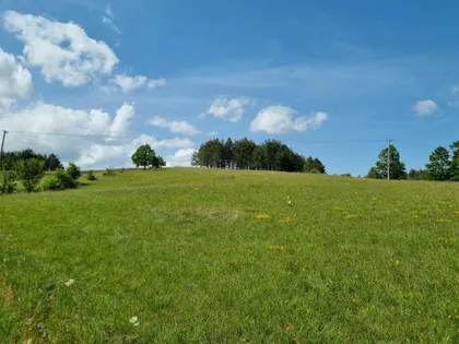 Tometino Polje | 4zida.rs