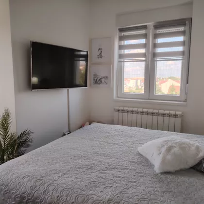 Surčinska | 4zida.rs
