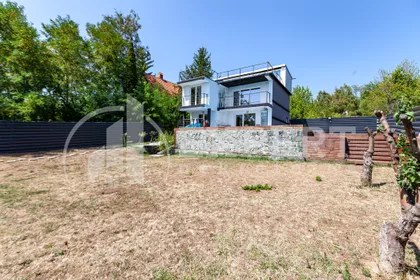 Petra Božovića | 4zida.rs