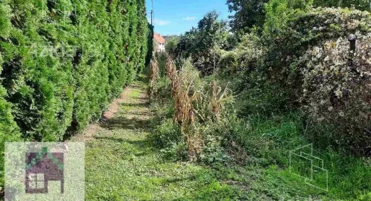 Plac | 4zida