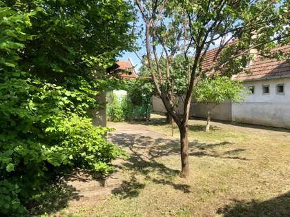 Pap Pavla 17 | 4zida.rs